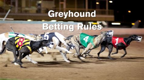 greyhound racing betting strategy|Beginners Guide To Betting On Greyhound Racing .